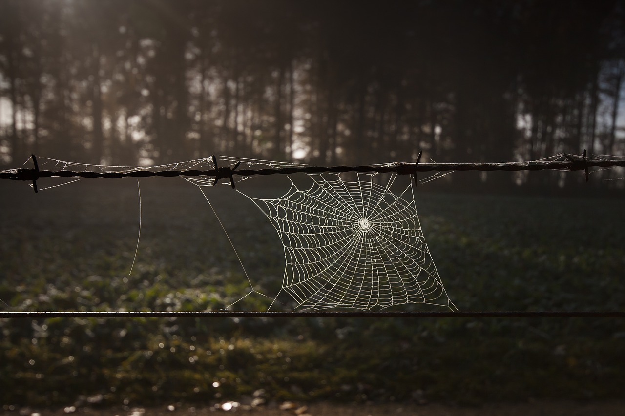 Making DIY Wire Crafts for Your Home